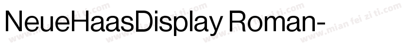 NeueHaasDisplay Roman字体转换